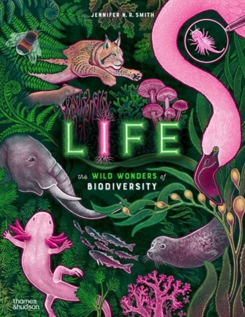 Life - The wild wonders of biodiversity