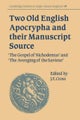 Two Old English Apocrypha and their Manuscript Source