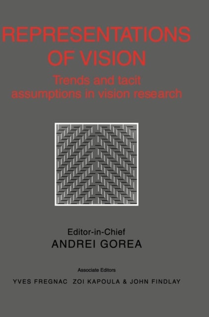 Representations of Vision - Trends and Tacit Assumptions in Vision Research
