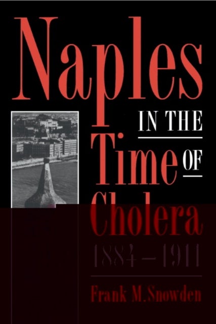 Naples in the Time of Cholera, 1884–1911