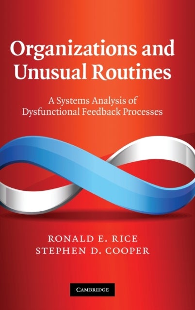 Organizations and Unusual Routines - A Systems Analysis of Dysfunctional Feedback Processes