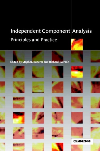 Independent Component Analysis - Principles and Practice