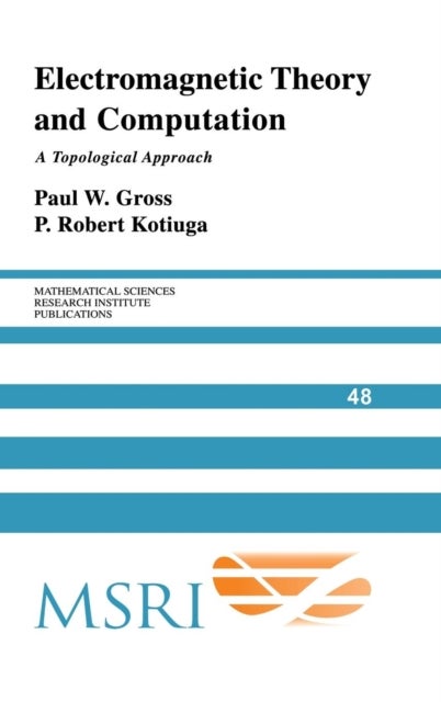 Electromagnetic Theory and Computation - A Topological Approach