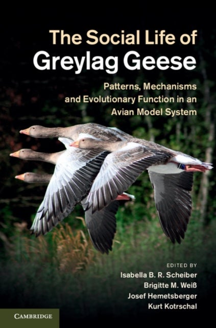 The Social Life of Greylag Geese - Patterns, Mechanisms and Evolutionary Function in an Avian Model System