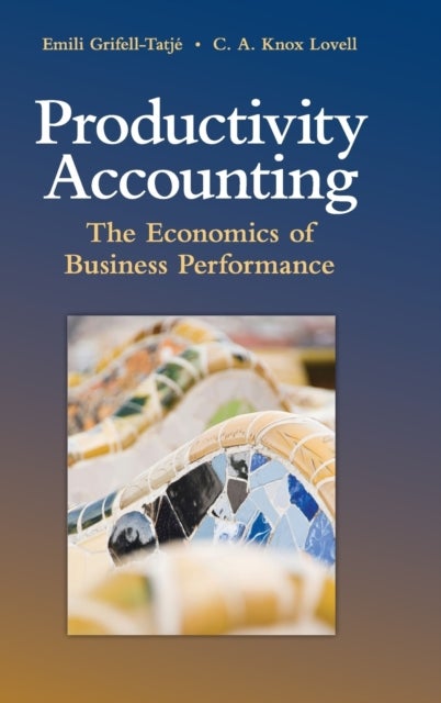 Productivity Accounting - The Economics of Business Performance