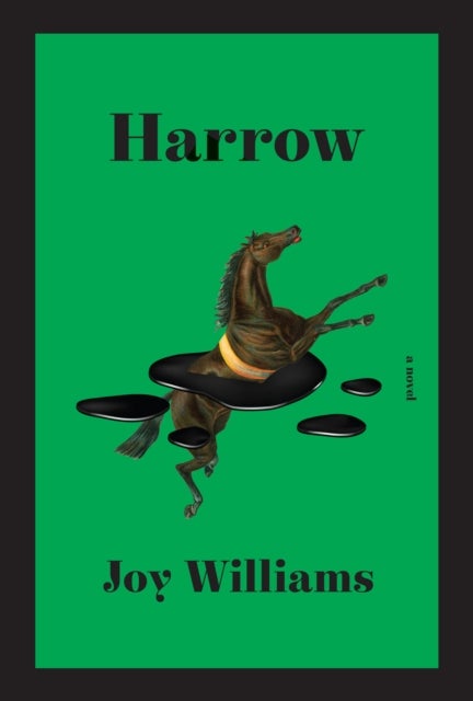 Harrow - A novel