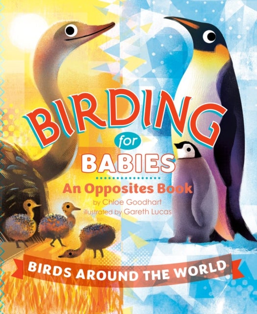 Birding for Babies: Birds Around the World - An Opposites Book