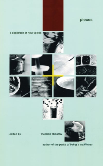 Pieces - A Collection of New Voices