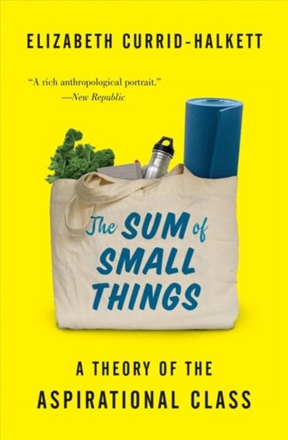 The Sum of Small Things - A Theory of the Aspirational Class
