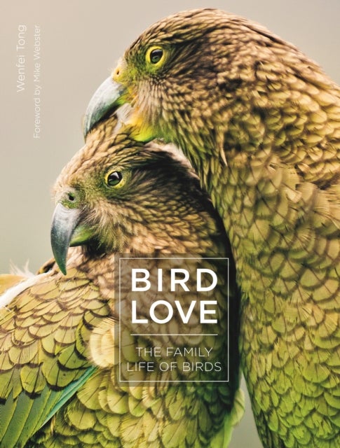 Bird Love - The Family Life of Birds