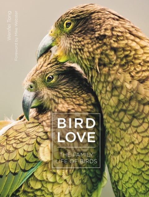 Bird Love - The Family Life of Birds