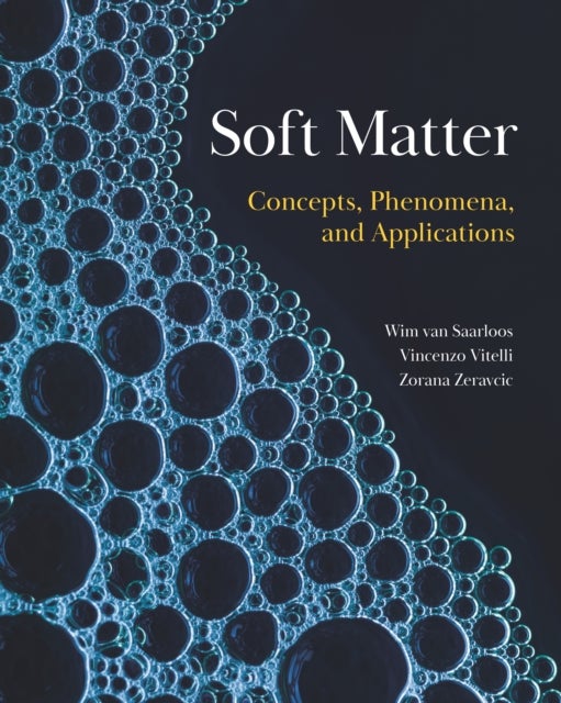 Soft Matter - Concepts, Phenomena, and Applications