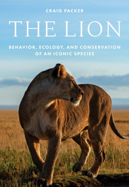 The Lion - Behavior, Ecology, and Conservation of an Iconic Species