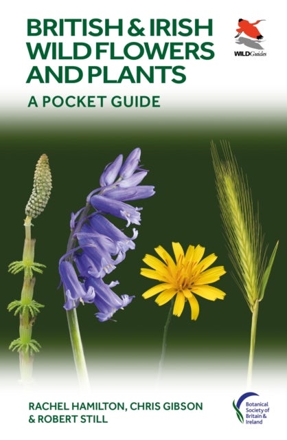 British and Irish Wild Flowers and Plants - A Pocket Guide