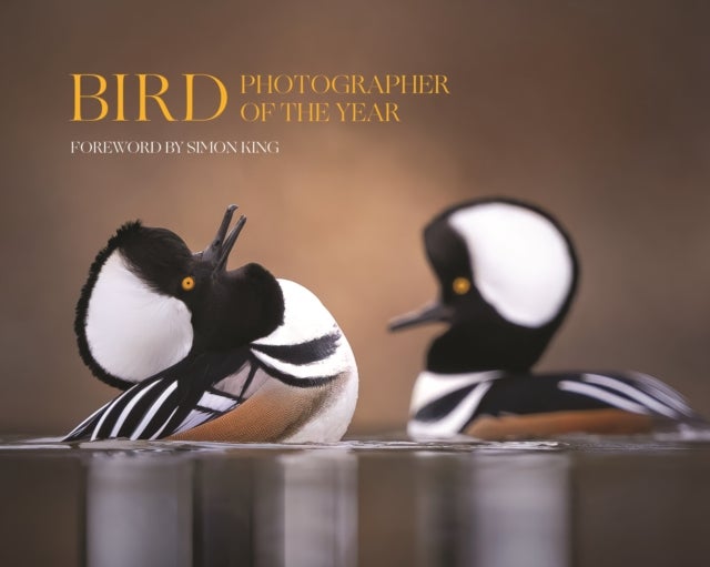 Bird Photographer of the Year - Collection 9