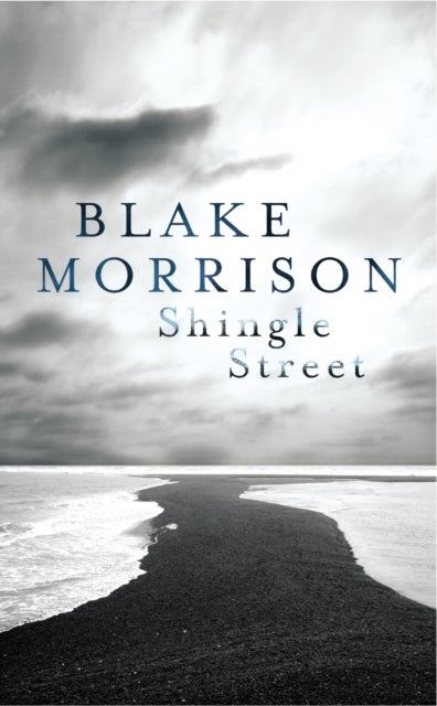 Shingle Street - The brilliant collection from award-winning author Blake Morrison