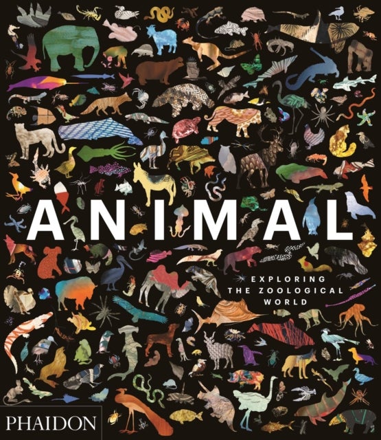 Animal - Exploring the Zoological World