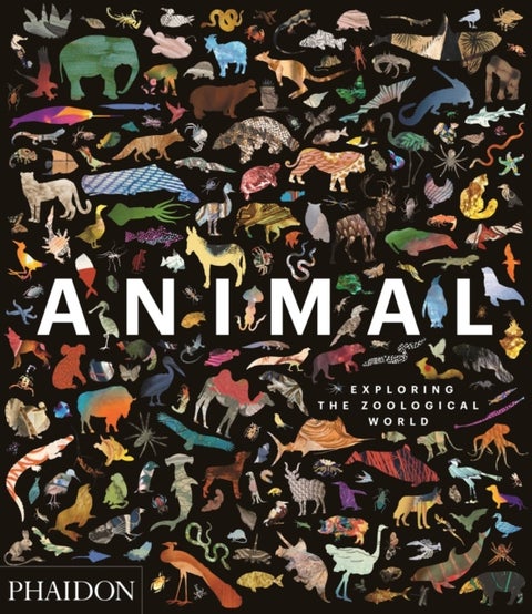 Animal - Exploring the Zoological World
