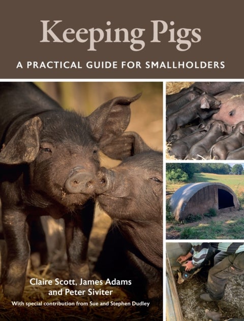 Keeping Pigs - A Practical Guide for Smallholders