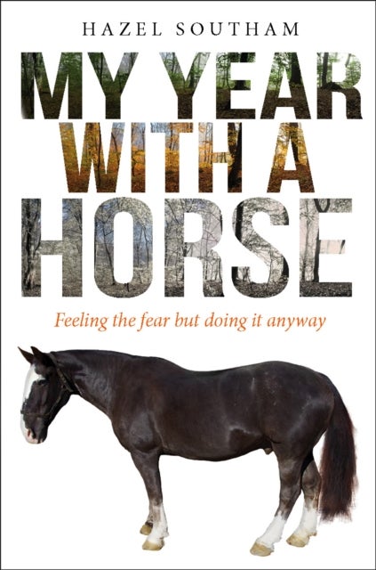 My Year With a Horse - Feeling the fear but doing it anyway
