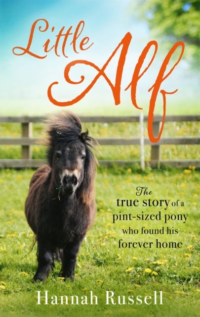 Little Alf - The true story of a pint-sized pony who found his forever home