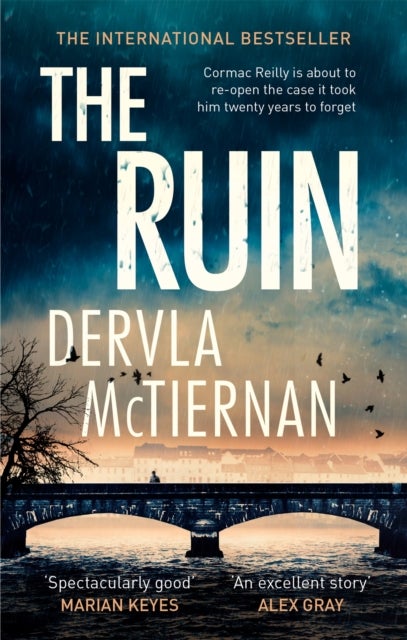 The Ruin - The gripping Irish-set crime thriller you won't want to miss