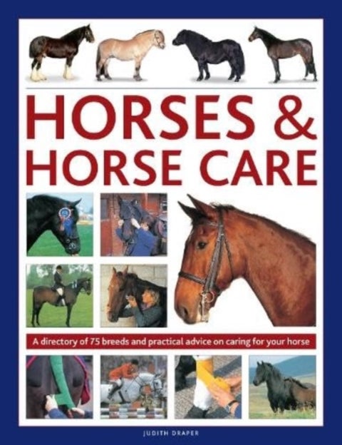 Horses & Horse Care - A directory of 75 breeds and practical advice on caring for your horse