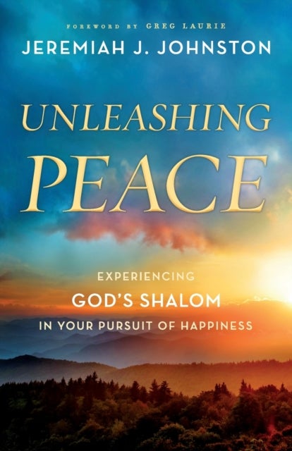 Unleashing Peace - Experiencing God's Shalom in Your Pursuit of Happiness