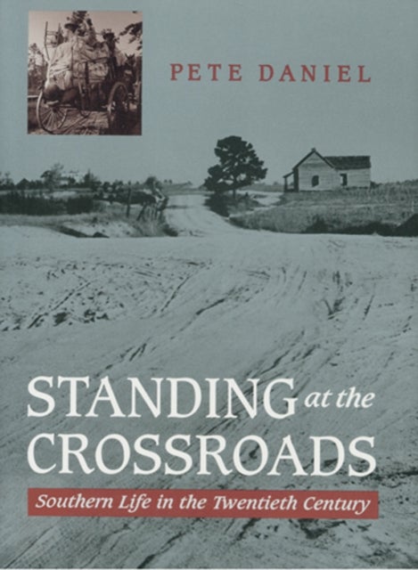 Standing at the Crossroads - Southern Life in the Twentieth Century