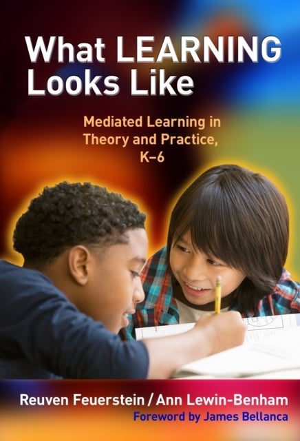 What Learning Looks Like - Mediated Learning in Theory and Practice, K-6