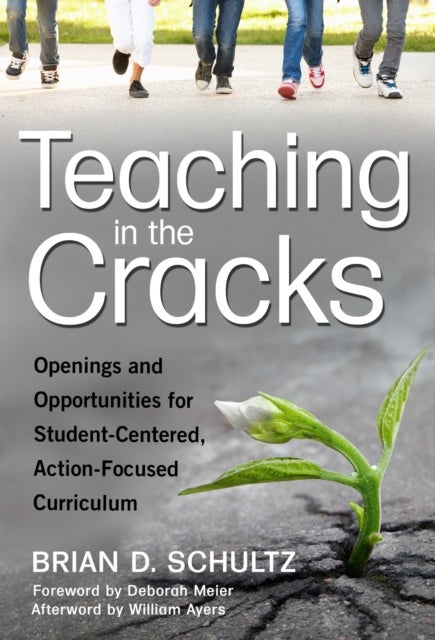 Teaching in the Cracks - Openings and Opportunities for Student-Centered, Action-Focused Curriculum
