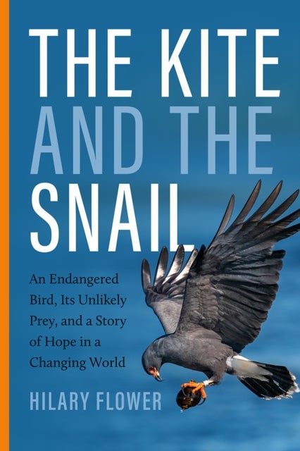 The Kite and the Snail - An Endangered Bird, Its Unlikely Prey, and a Story of Hope in a Changing World