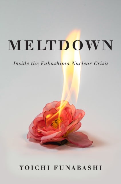 Meltdown - Inside the Fukushima Nuclear Crisis