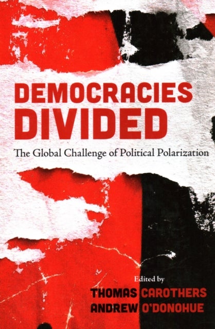 Democracies Divided - The Global Challenge of Political Polarization