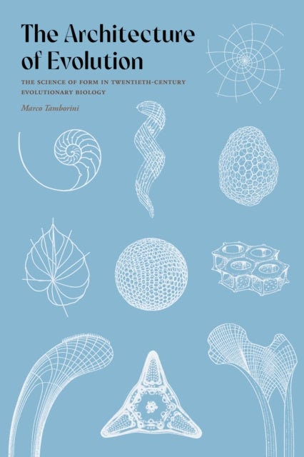 The Architecture of Evolution - The Science of Form in Twentieth-Century Evolutionary Biology