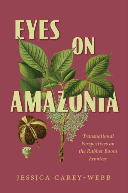 Eyes on Amazonia - Transnational Perspectives on the Rubber Boom Frontier