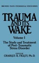 Trauma And Its Wake