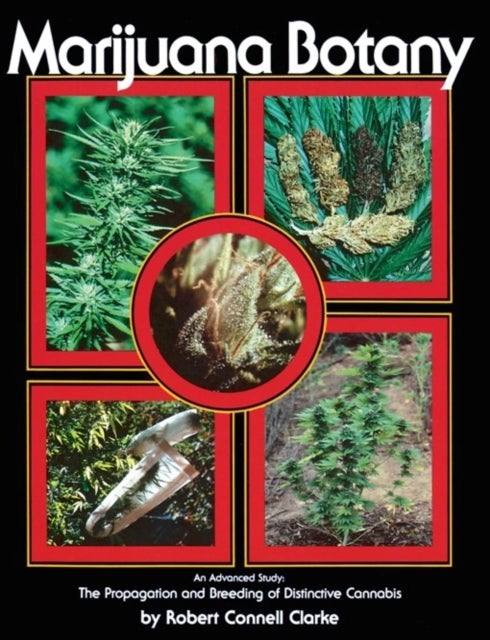 Marijuana Botany - An Advanced Study: The Propagation and Breeding of Distinctive Cannabis