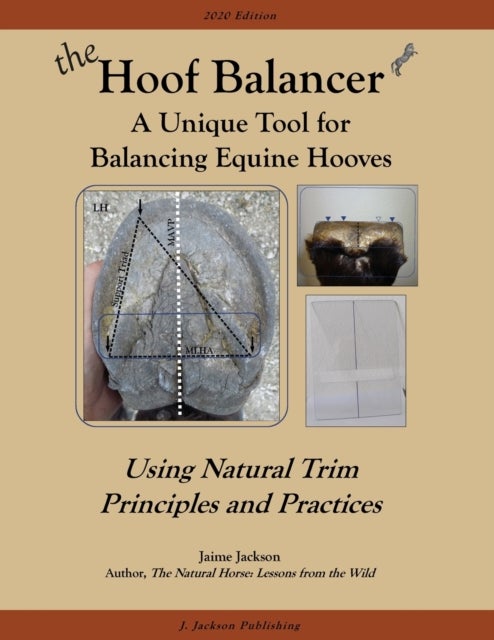 The Hoof Balancer - A Unique Tool for Balancing Equine Hooves