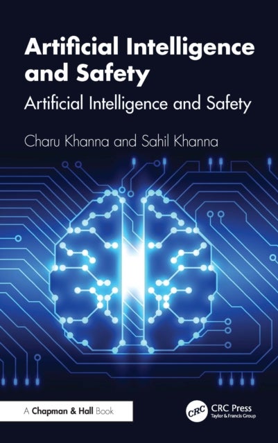 Artificial Intelligence and Safety - A Practical Guide for Programmers and Decision Makers