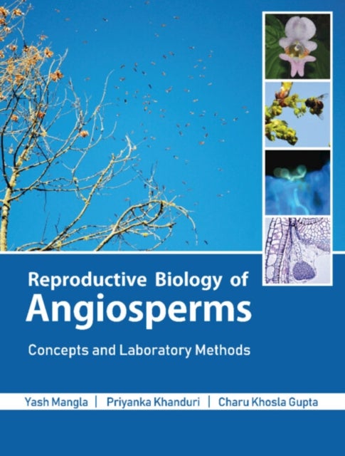 Reproductive Biology of Angiosperms - Concepts and Laboratory Methods