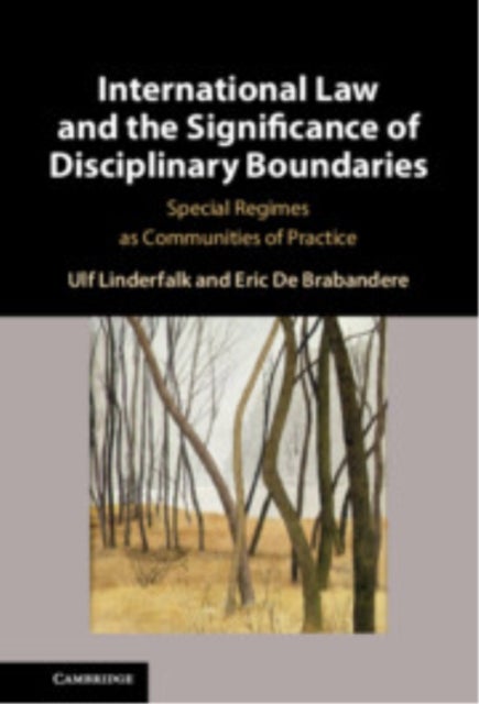 International Law and the Significance of Disciplinary Boundaries - Special Regimes as Communities of Practice