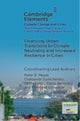 Financing Urban Transitions to Climate Neutrality and Increased Resilience in Cities