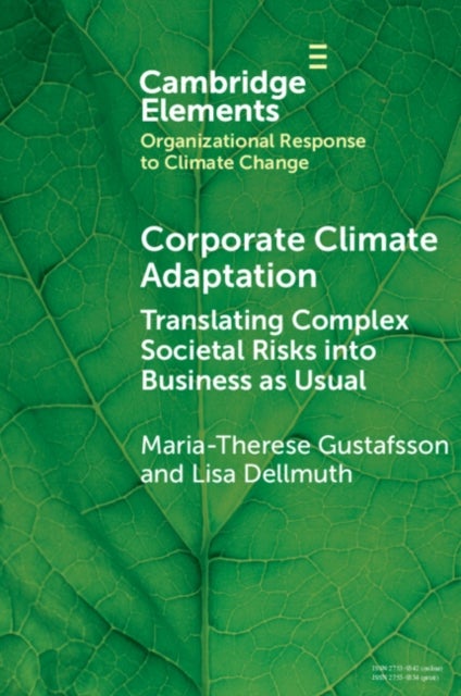 Corporate Climate Adaptation - Translating Complex Societal Risks into Business as Usual