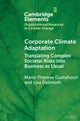 Corporate Climate Adaptation