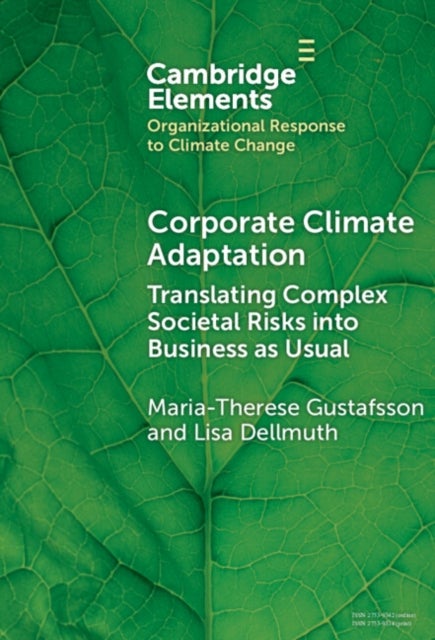Corporate Climate Adaptation - Translating Complex Societal Risks into Business as Usual