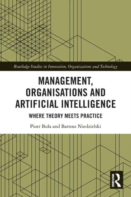 Management, Organisations and Artificial Intelligence - Where Theory Meets Practice