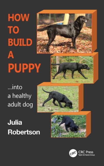 How to Build a Puppy - Into a Healthy Adult Dog