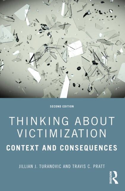 Thinking About Victimization - Context and Consequences