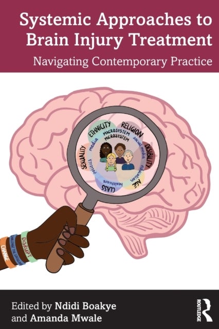 Systemic Approaches to Brain Injury Treatment - Navigating Contemporary Practice